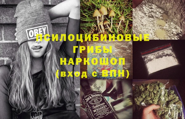 PSILOCYBIN Абаза