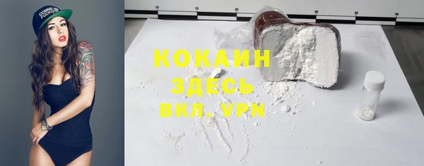 PSILOCYBIN Абаза