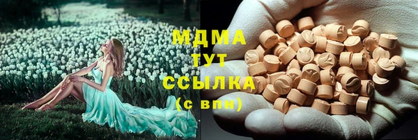 PSILOCYBIN Абаза