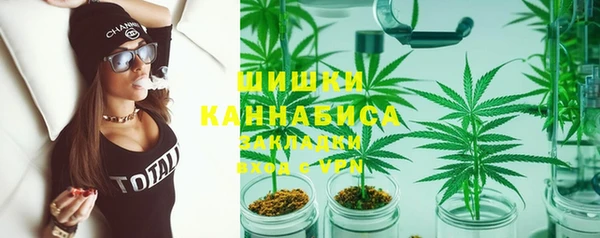 PSILOCYBIN Абаза