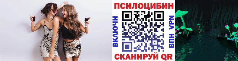 наркота Химки сайты даркнета какой сайт Псилоцибиновые грибы Cubensis mega